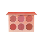 پالت رژ گونه شش تایی شیگلم SHEGLAM نارنجی